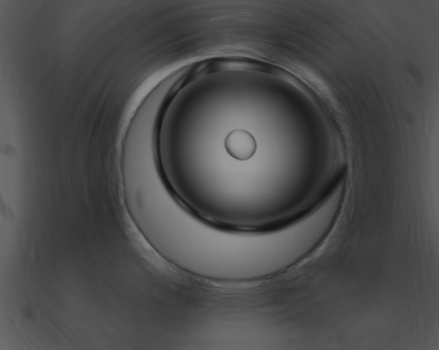 X0000090981200200708021452