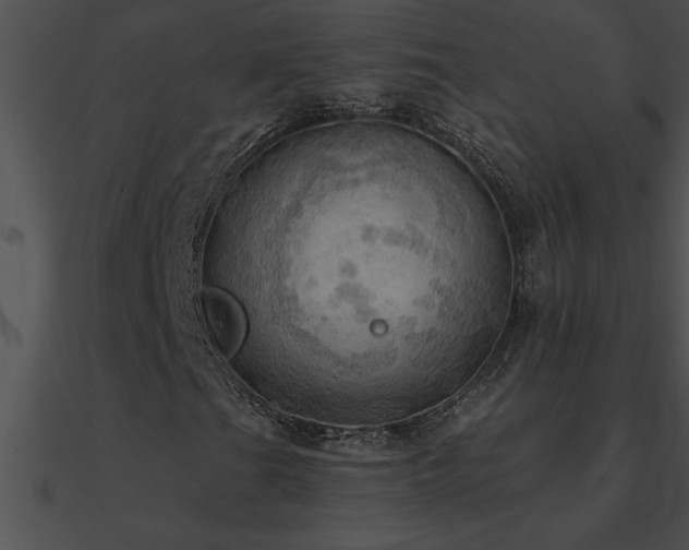 X0000090981201200708021451