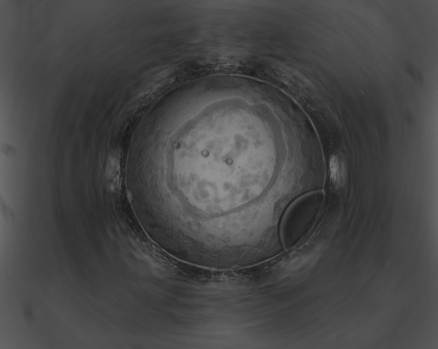 X0000090981203200708021451
