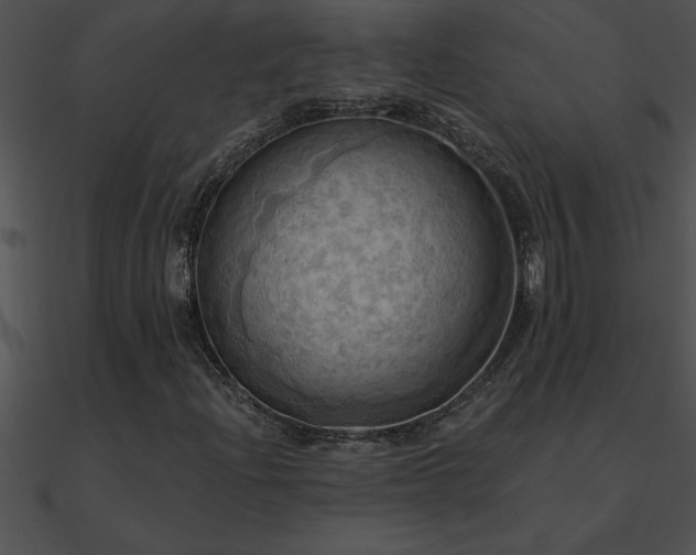 X0000090981204200708021451