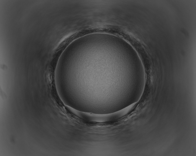 X0000090981206200708021451