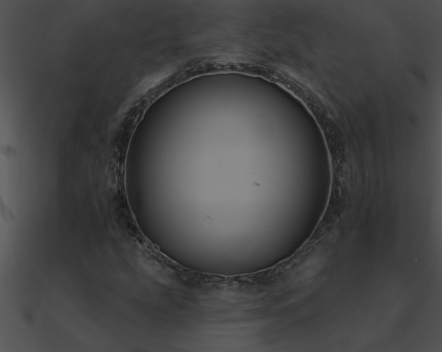 X0000090981207200708021451