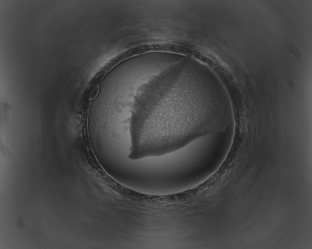 X0000090981208200708021451