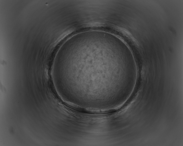 X0000090981209200708021451