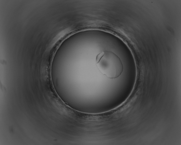 X0000090981211200708021451
