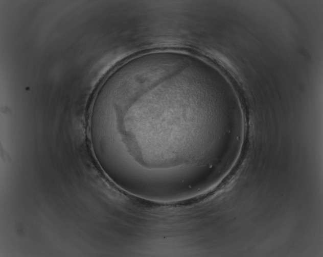 X0000090981212200708021451