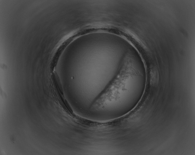 X0000090981213200708021451
