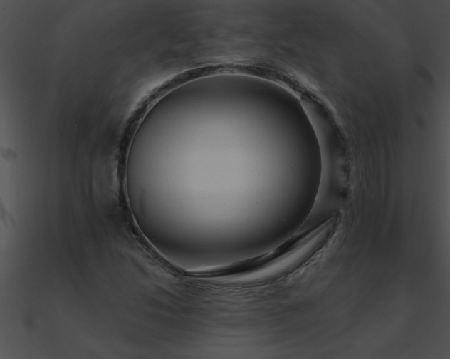 X0000090981214200708021451