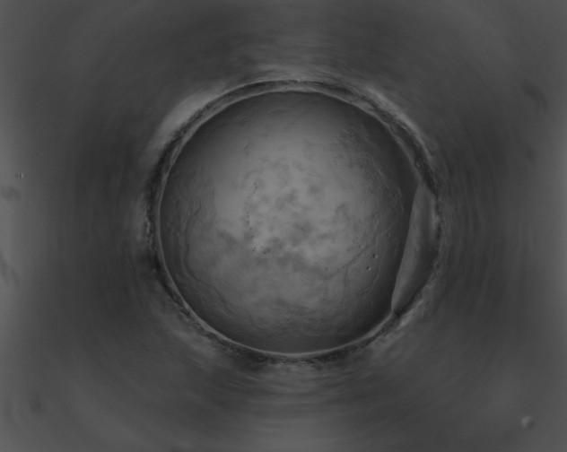 X0000090981215200708021451