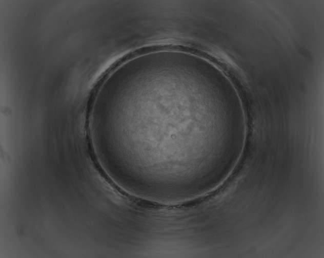 X0000090981216200708021451