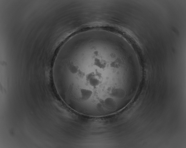 X0000090981217200708021451