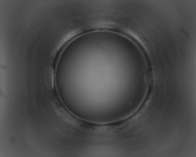 X0000090981219200708021451