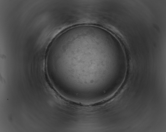 X0000090981220200708021451
