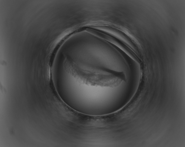 X0000090981221200708021451