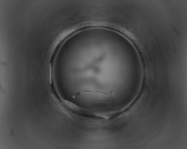 X0000090981223200708021451