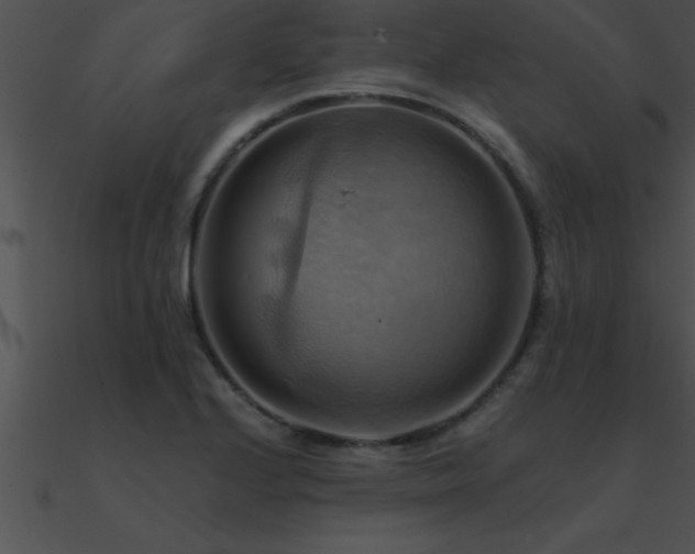 X0000090981224200708021451
