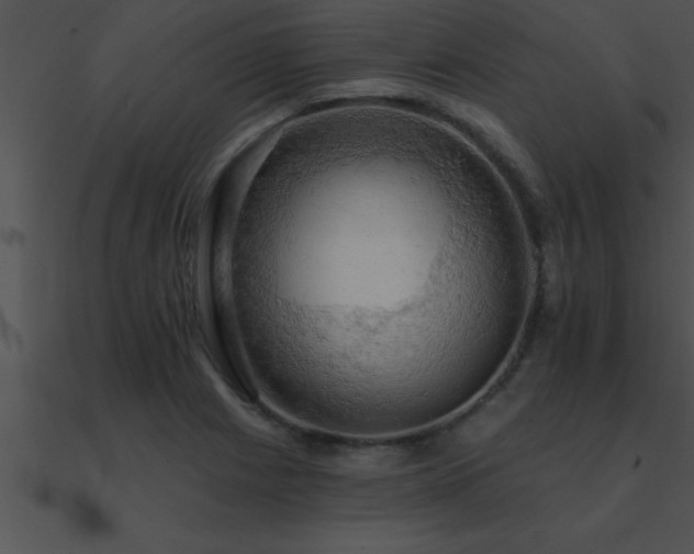 X0000090981225200708021451