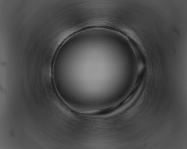 X0000090981226200708021451