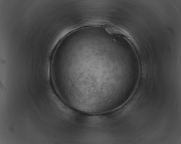 X0000090981227200708021451