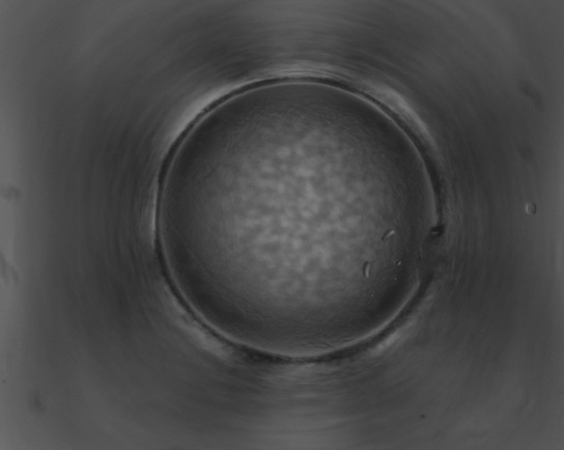 X0000090981228200708021451