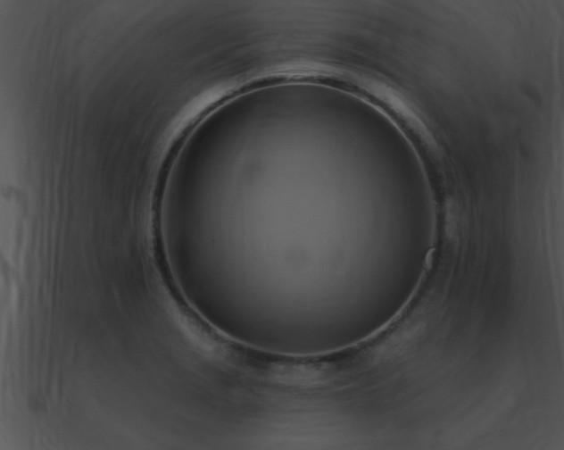 X0000090981229200708021451