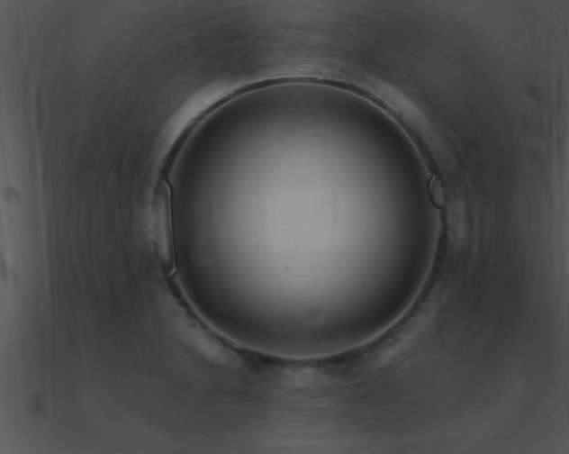 X0000090981230200708021451