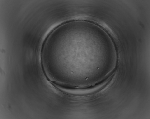 X0000090981232200708021451