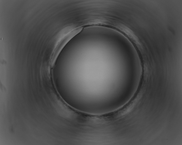 X0000090981234200708021451