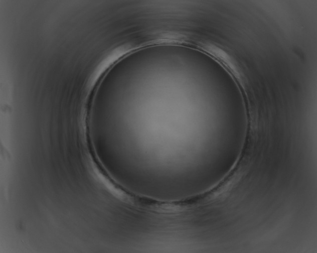 X0000090981235200708021451