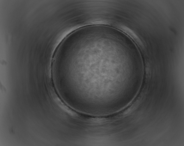 X0000090981236200708021451