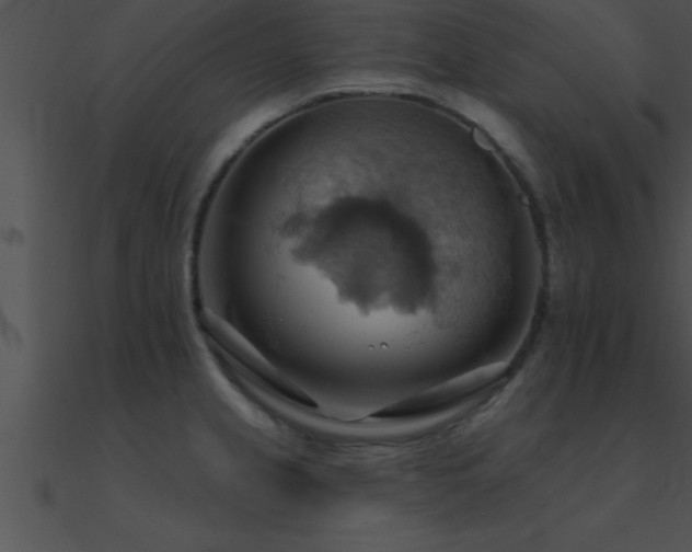 X0000090981237200708021452