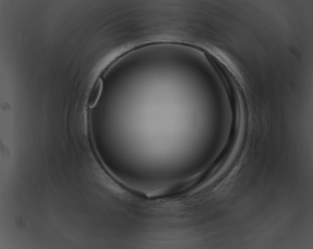 X0000090981238200708021452