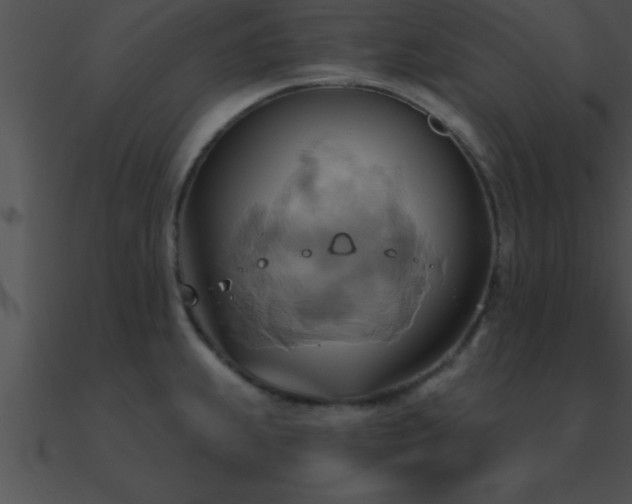 X0000090981239200708021452