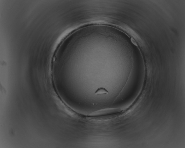 X0000090981240200708021452