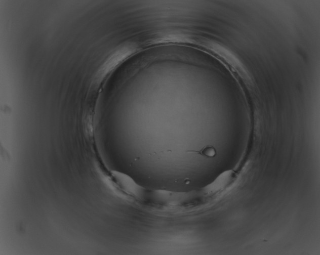 X0000090981241200708021452