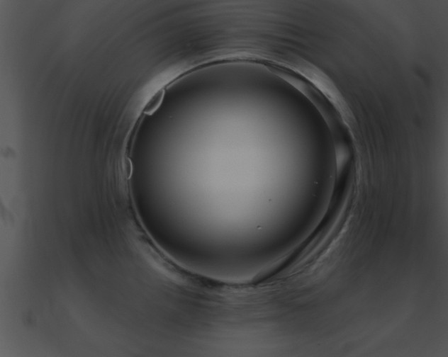 X0000090981242200708021452