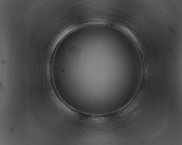 X0000090981243200708021452