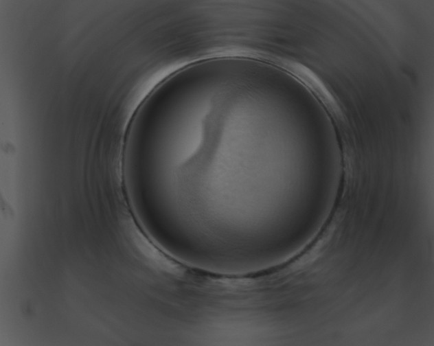 X0000090981244200708021452