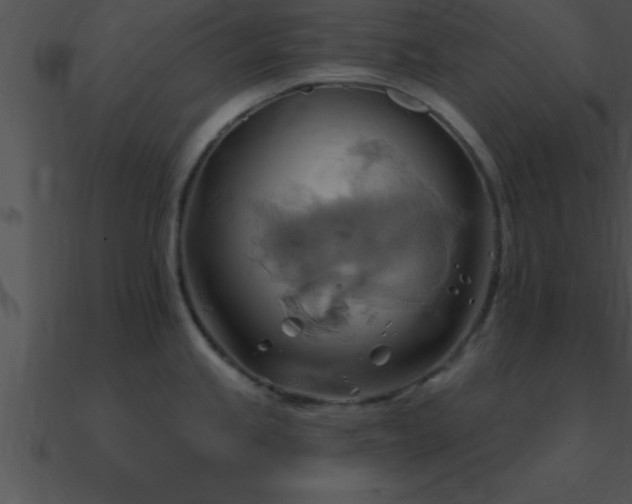 X0000090981245200708021452