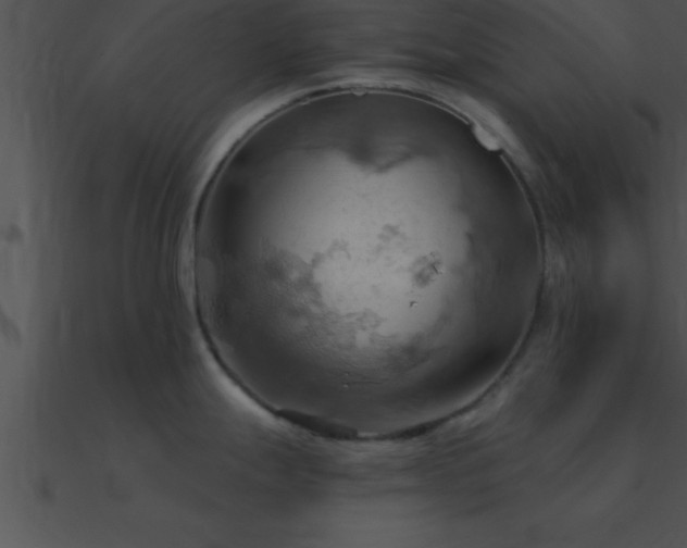 X0000090981247200708021452