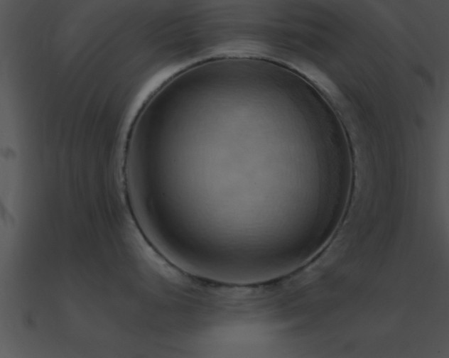X0000090981248200708021452