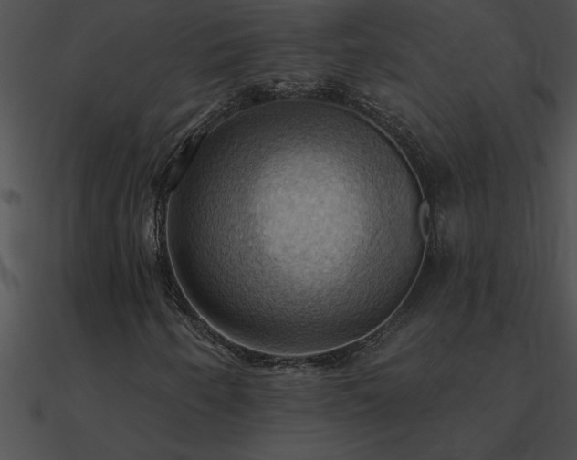 X0000090981250200708021451