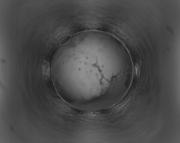 X0000090981251200708021451