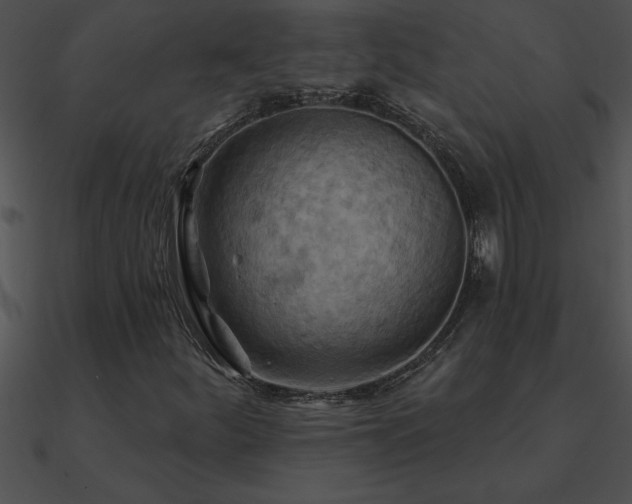 X0000090981252200708021451