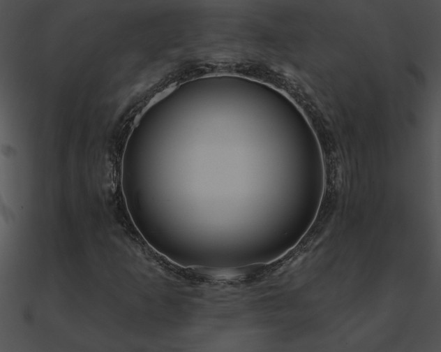 X0000090981253200708021451