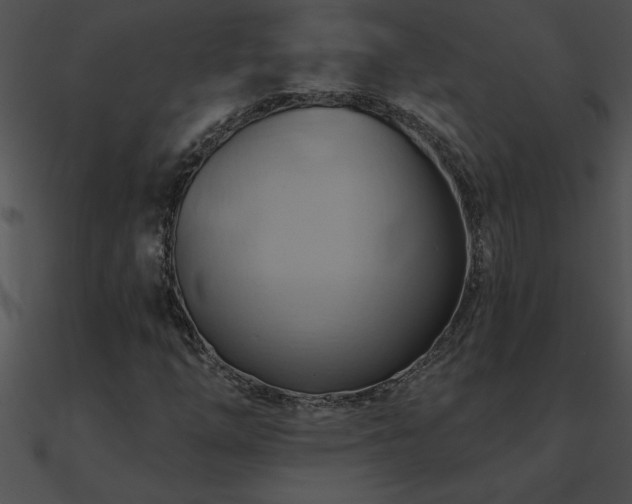 X0000090981254200708021451