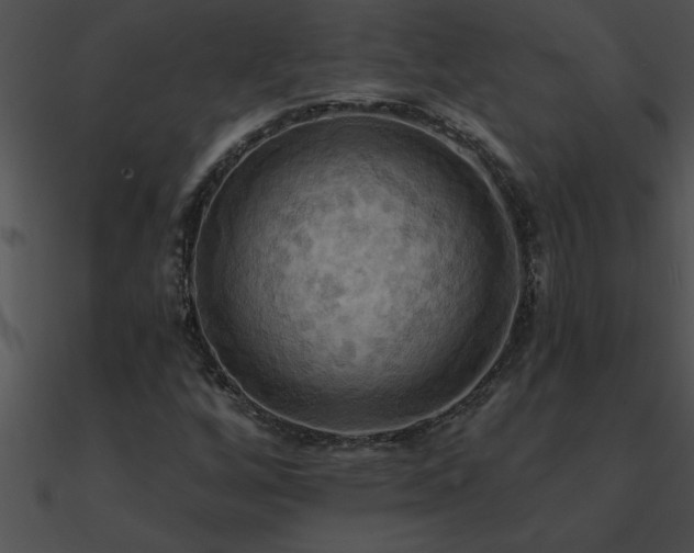 X0000090981256200708021451