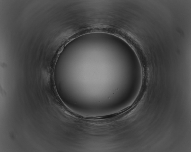 X0000090981257200708021451