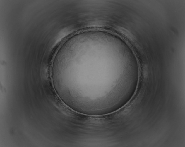 X0000090981258200708021451