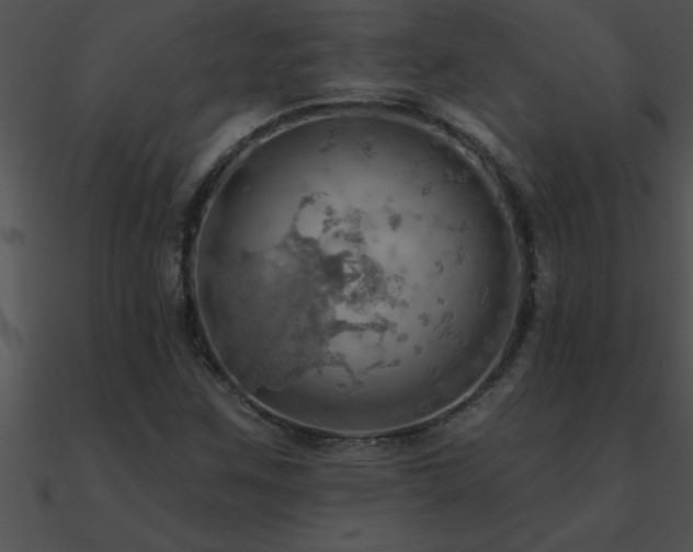 X0000090981259200708021451
